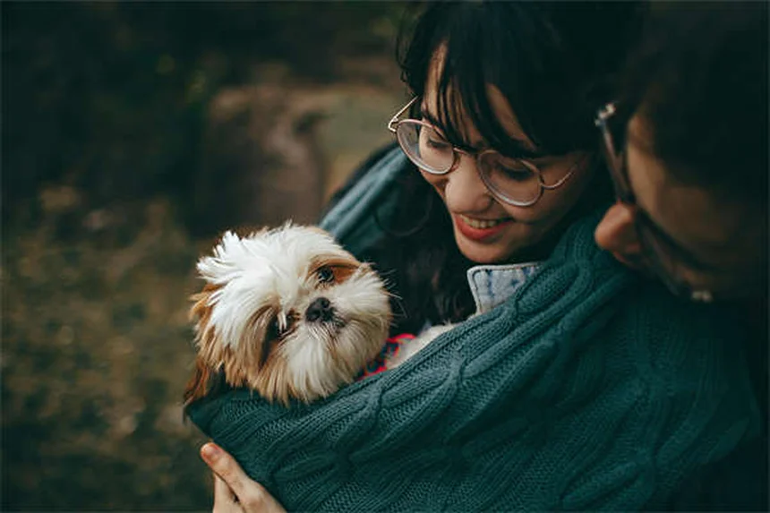 5 formas en que tu perro puede coger garrapatas ¡y cómo evitarlo!